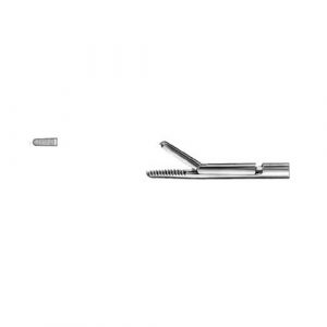 Laryngo-Bronchoscopy