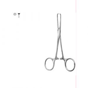 Stomach, Intestines, Rectum