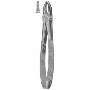 Tooth Extracting Forceps (English)