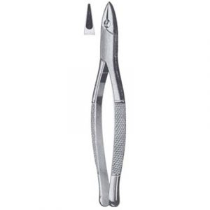 Tooth Extracting Forceps (American)