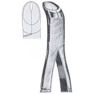 Tooth Extracting Forceps (American)